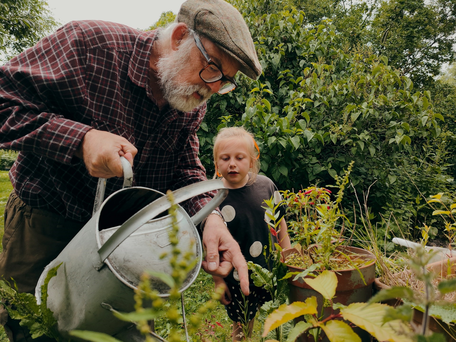 Elderly man watering plants in his garden with small child in the background looking over his shoulder